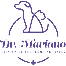 Dr. Mariano